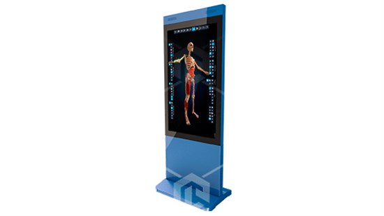 Интерактивный трёхмерный атлас анатомии человека PL-Anatomy. Комплектация Вертикальная