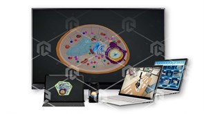 Интерактивное наглядное 3D пособие «Познание: Генетика и селекция»