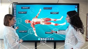 Интерактивный трёхмерный атлас анатомии человека PL-Anatomy. Комплектация Улучшенная