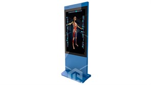 Интерактивный трёхмерный атлас анатомии человека PL-Anatomy. Комплектация Вертикальная