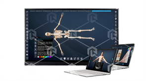 Интерактивный трёхмерный атлас анатомии человека "PL-Anatomy" версия Ultra Light