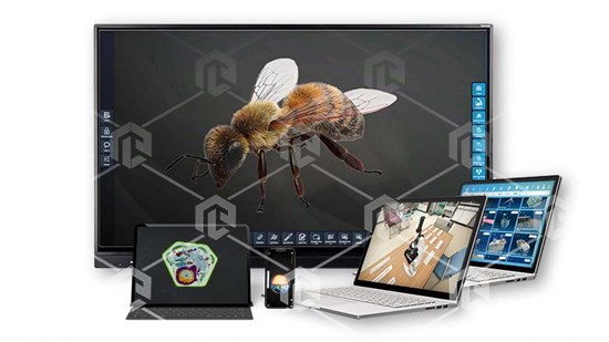 Интерактивное наглядное 3D пособие «Познание: Пчеловодство» ВИП-ПЧЛВД-01 - фото 2943