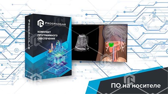 Виртуальный тренажер-симулятор отработки базовых навыков ультразвуковой диагностики (уровень базовый) К1 ВМД-ОБНУД-01 - фото 3195
