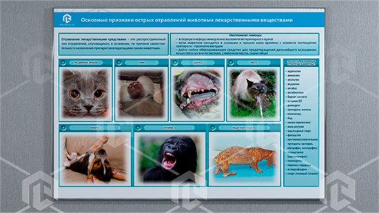 Стенд-планшет светодинамический «Острые отравления животных лекарственными препаратами» ФСВ-ООЖЛП-01 - фото 4092