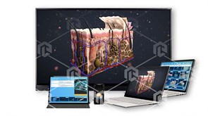 Интерактивное наглядное 3D пособие «Познание: Анатомия человека» ВИП-ПАНЧЕ-01