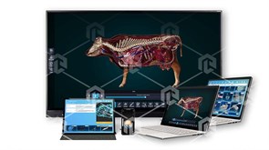 Интерактивное наглядное 3D пособие «Познание: Животные» ВИП-ИНПЖИ-01