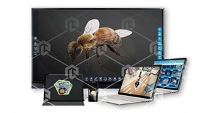 Интерактивное наглядное 3D пособие «Познание: Пчеловодство» ВИП-ПЧЛВД-01