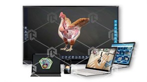 Интерактивное наглядное 3D пособие «Познание: Птицеводство» ВИП-ПТЦВД-01