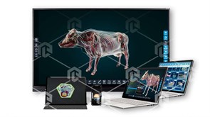 Интерактивное наглядное 3D пособие «Познание: Животноводство и современные корма» ВИП-ЖВДСК-01