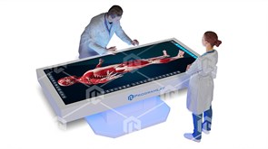 Интерактивный анатомический стол PL-Anatomy Tab Duo 5k с одним сверхширокоформатным экраном, металлический ФМД-ИНАНС-05