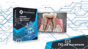 Виртуальный учебный комплекс «Виртуальный атлас строения зубов человека» ВМД-ВАСЗЧ-01