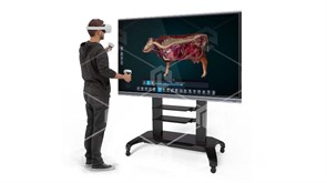 Виртуальный учебный комплекс «Интерактивный трехмерный атлас анатомии животных PL-VetAnatomy» К2 ВСВ-ИТААЖ-02